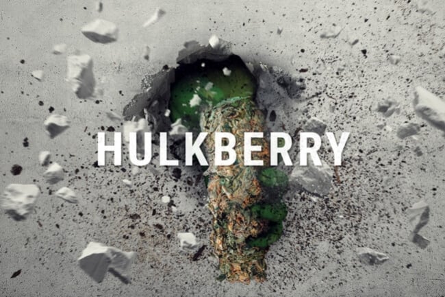 HulkBerry: La Kush À L'Alter-Ego Sativa