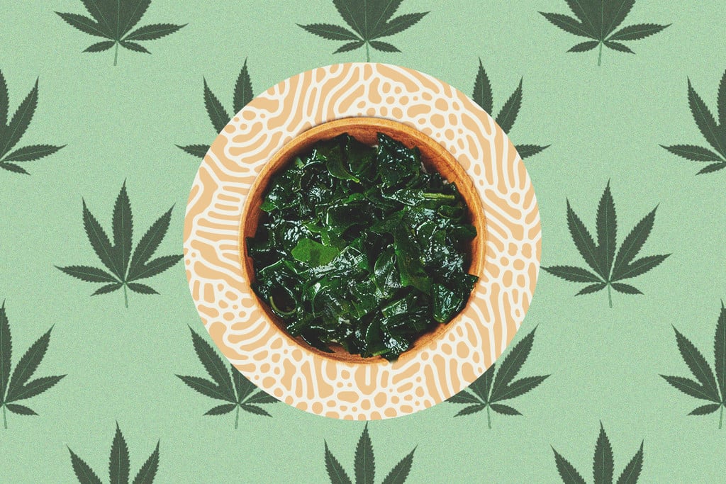 Les Algues Sont Un Super-Aliment Pour Le Cannabis