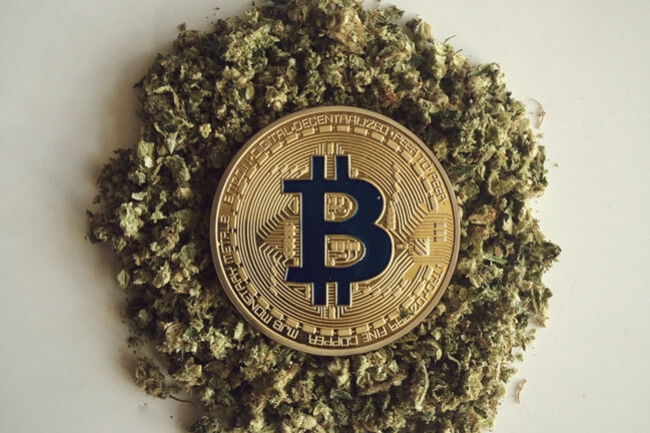 L’importance de la cryptomonnaie pour le secteur du cannabis