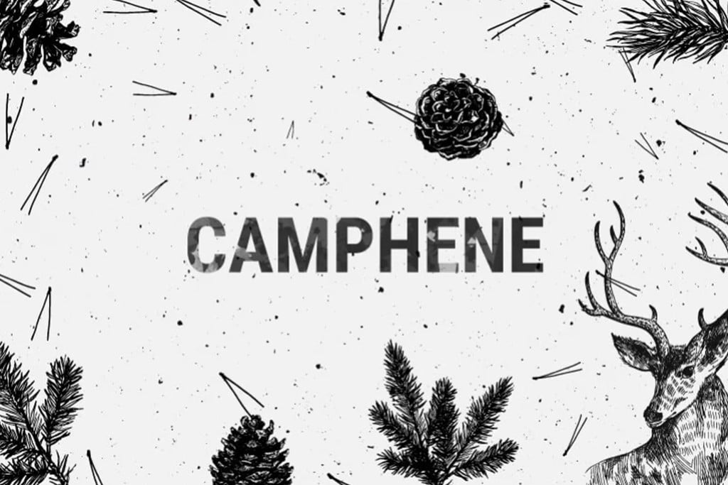 Camphène - Un Terpène Mineur Du Cannabis Au Fort Potentiel Médical