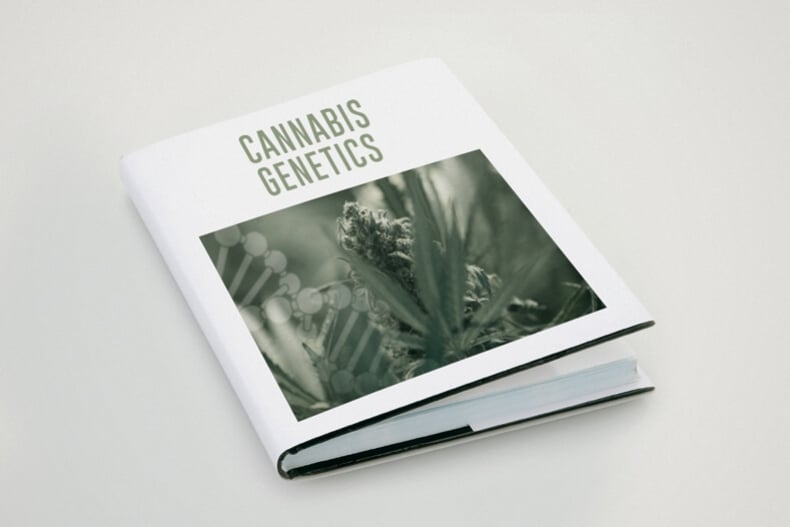 Comprendre la terminologie de la génétique du cannabis