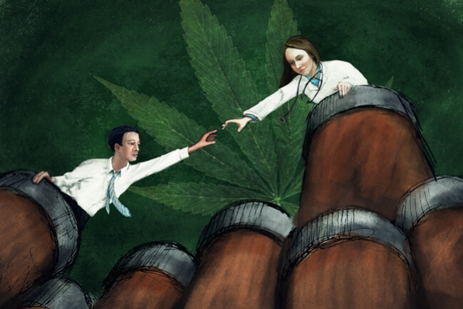Le Cannabis Médical Pour Lutter Contre La Crise D'Opioïdes