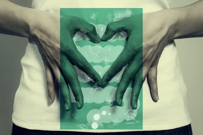 Le CBD Améliore-T-Il La Santé Intestinale Et Favorise-T-Il La Digestion ?