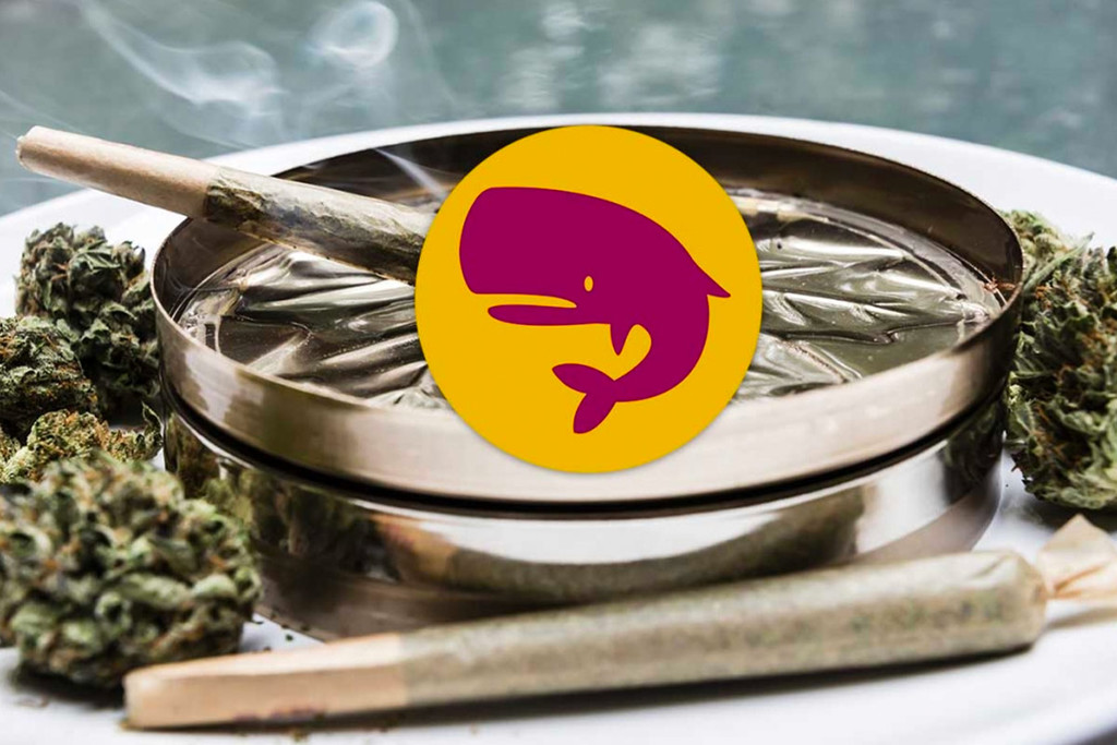 Article sur l’expérience de fumer Royal Moby