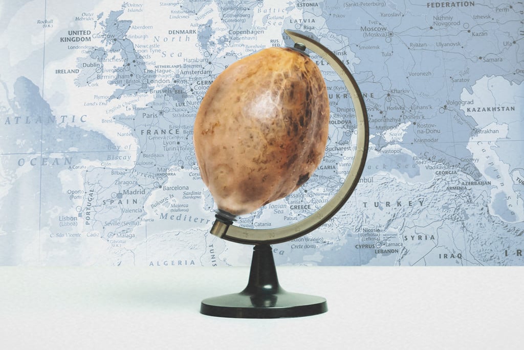 Où Est-ce Légal D’acheter Des Graines De Cannabis ?