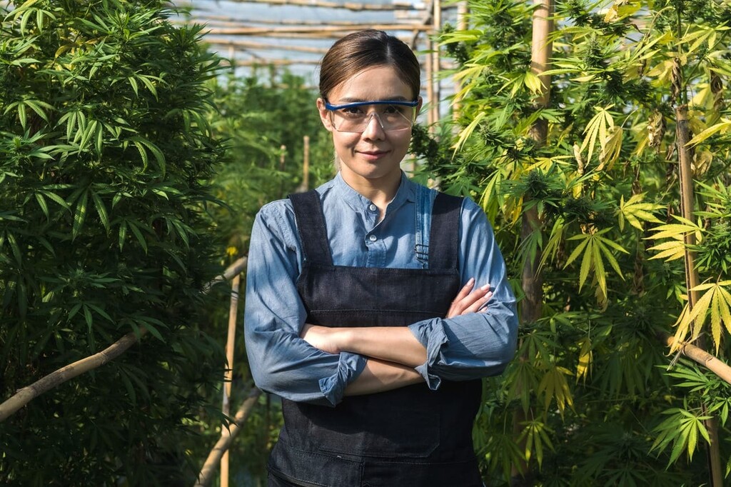 8 Des Femmes Les Plus Influentes de l'Industrie du Cannabis