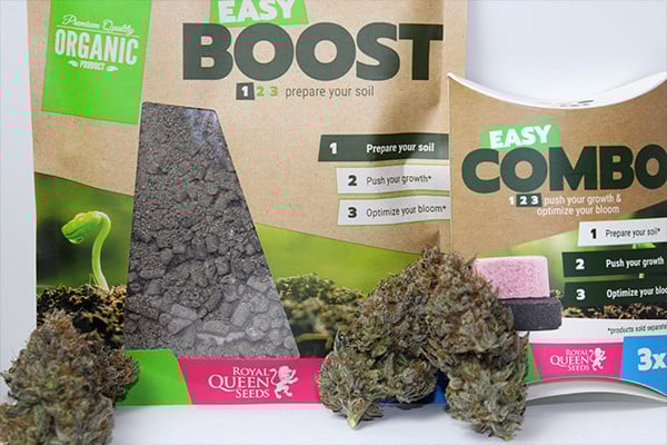 Easy Boost Nutrition Organique Easy Boost Nutrition Organique